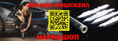 СК Кингисепп
