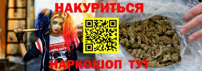 СК Кингисепп