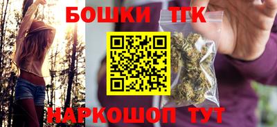 СК Кингисепп