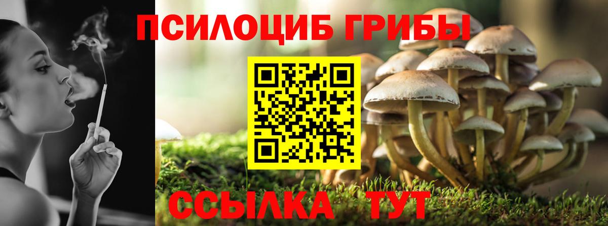 Псилоцибиновые грибы Psilocybine cubensis Алапаевск