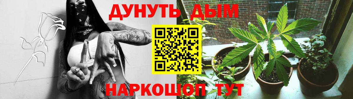 Алапаевск  Конопля White Widow  Марихуана планчик  Вход с VPN 